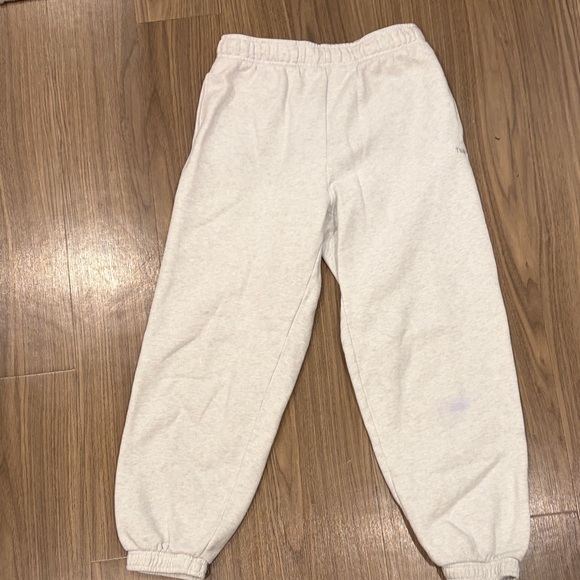 Aritzia TNA Sweatfleece Mega Fit Light Gray Sweatpants - Picture 3 of 5